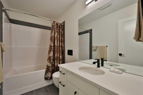 42 Blackwolf Pass North, Lethbridge, AB - Indoor Photo Showing Bathroom