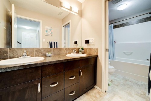821 Silkstone Close West, Lethbridge, AB - Indoor Photo Showing Bathroom