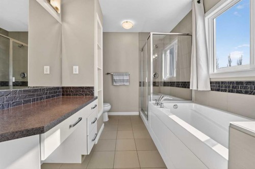 678 Twinriver Crescent West, Lethbridge, AB - Indoor Photo Showing Bathroom
