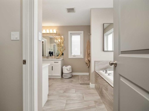 413 Devonia Way West, Lethbridge, AB - Indoor Photo Showing Bathroom