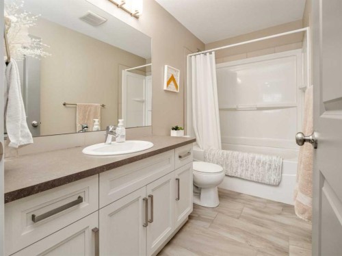 413 Devonia Way West, Lethbridge, AB - Indoor Photo Showing Bathroom