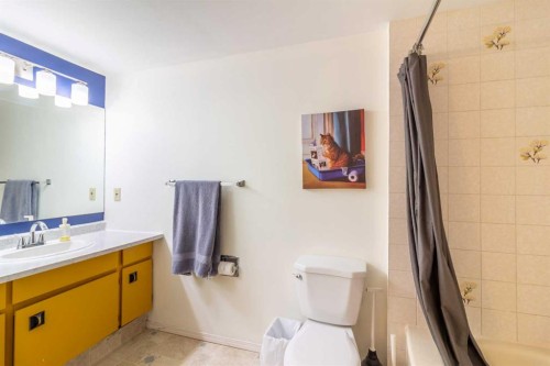 110-65 Temple Blvd W, Lethbridge, AB - Indoor Photo Showing Bathroom