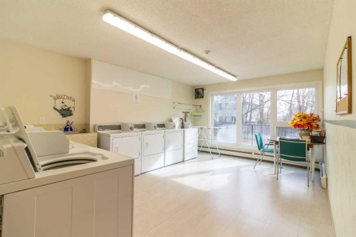 110-65 Temple Blvd W, Lethbridge, AB - Indoor Photo Showing Laundry Room