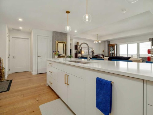 333-102 Scenic Drive North, Lethbridge, AB - Indoor Photo Showing Kitchen With Double Sink