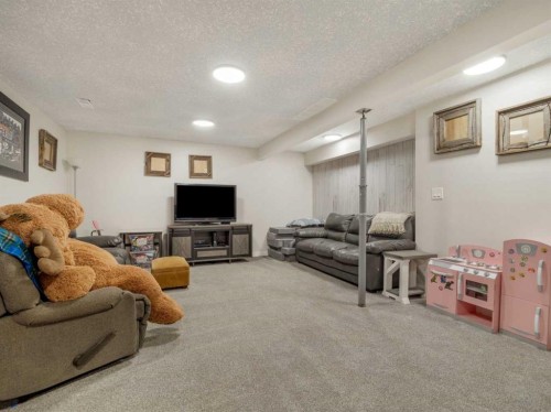 162 Purdue Court West, Lethbridge, AB - Indoor Photo Showing Basement