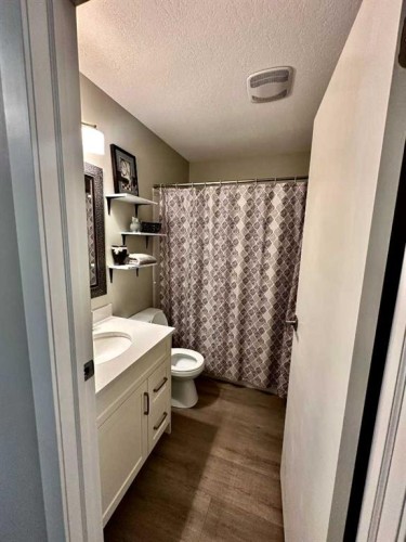 94050 Range Rd 214A, Rural Lethbridge County, AB - Indoor Photo Showing Bathroom