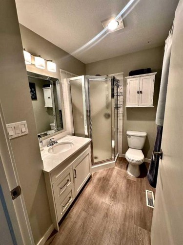 94050 Range Rd 214A, Rural Lethbridge County, AB - Indoor Photo Showing Bathroom