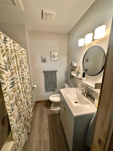 94050 Range Rd 214A, Rural Lethbridge County, AB - Indoor Photo Showing Bathroom