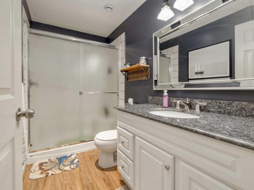 553 Mary Cameron Crescent North, Lethbridge, AB - Indoor Photo Showing Bathroom