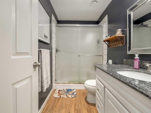 553 Mary Cameron Crescent North, Lethbridge, AB - Indoor Photo Showing Bathroom
