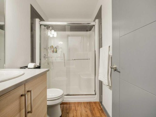 350 Uplands Boulevard North, Lethbridge, AB - Indoor Photo Showing Bathroom