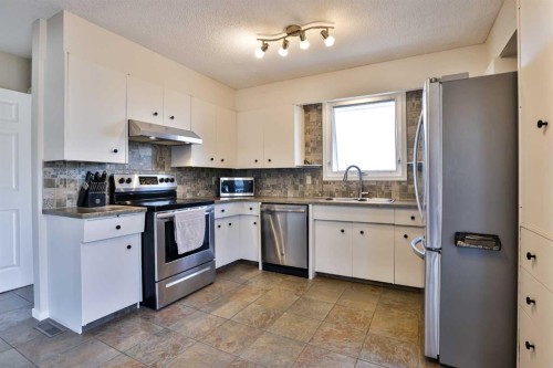 99 Lemoyne Crescent West, Lethbridge, AB - Indoor Photo Showing Kitchen With Double Sink