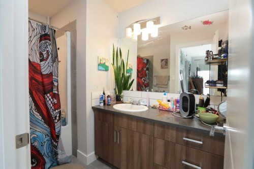 867 Coalbrook Close West, Lethbridge, AB - Indoor Photo Showing Bathroom