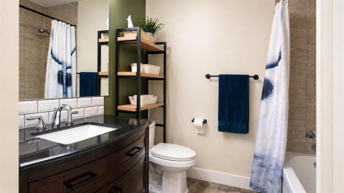 10 Cayuga Place West, Lethbridge, AB - Indoor Photo Showing Bathroom