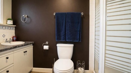 10 Cayuga Place West, Lethbridge, AB - Indoor Photo Showing Bathroom
