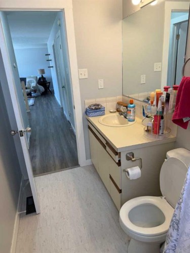73 Mcgill Boulevard West, Lethbridge, AB - Indoor Photo Showing Bathroom
