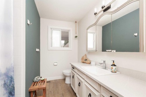 321 Normandy Road South, Lethbridge, AB - Indoor Photo Showing Bathroom