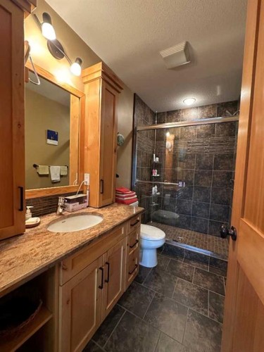 21 Ironstone Drive, Coleman, AB - Indoor Photo Showing Bathroom