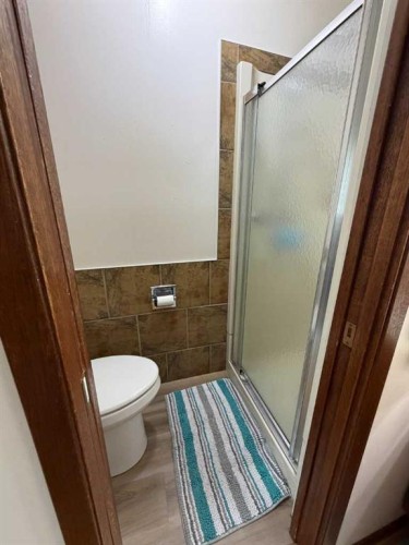 5411 46 Street, Taber, AB - Indoor Photo Showing Bathroom