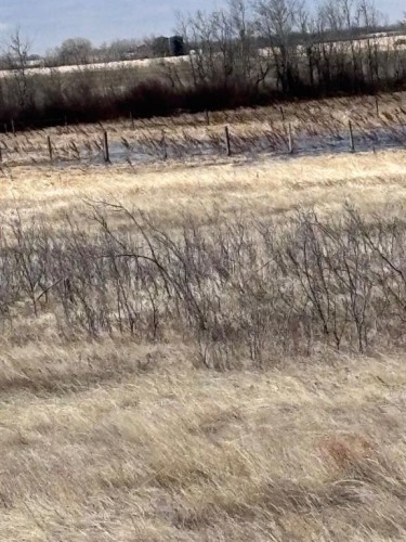 Along Hwy 12, Veteran, AB 