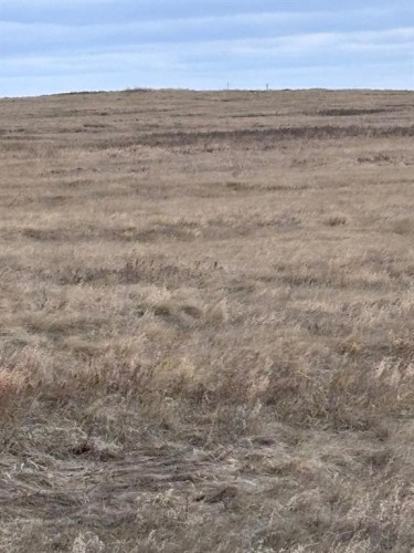 Along Hwy 12, Veteran, AB 