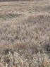 Along Hwy 12, Veteran, AB 