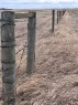Along Hwy 12, Veteran, AB 