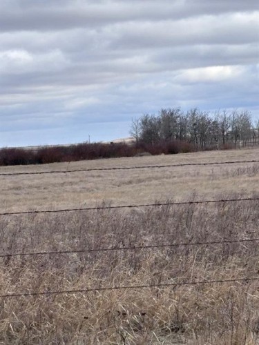 Along Hwy 12, Veteran, AB 