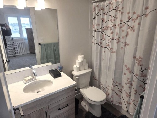A & B-50 Sage Brush Avenue, Taber, AB - Indoor Photo Showing Bathroom