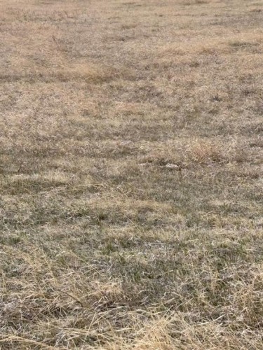On Twp Rd 342, Veteran, AB 