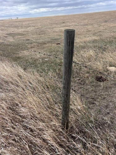On Twp Rd 342, Veteran, AB 