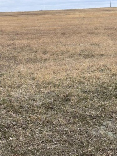 On Twp Rd 342, Veteran, AB 