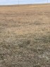 On Twp Rd 342, Veteran, AB 