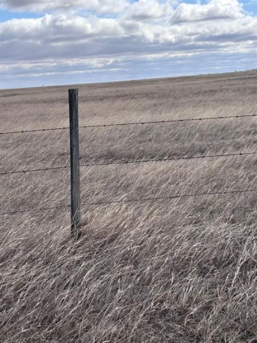 On Twp Rd 342, Veteran, AB 