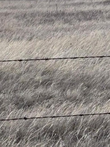 On Twp Rd 342, Veteran, AB 