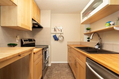 419-5 Berkeley Place West, Lethbridge, AB - Indoor Photo Showing Kitchen With Double Sink
