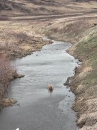 on Hwy 886 Consort, AB T0C 1B0