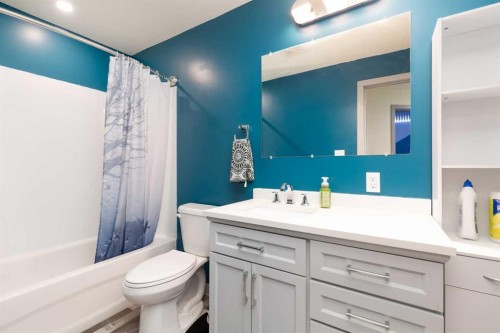 1009 Atlantic Lookout West, Lethbridge, AB - Indoor Photo Showing Bathroom