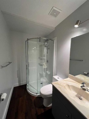 197 Oxford Road West, Lethbridge, AB - Indoor Photo Showing Bathroom