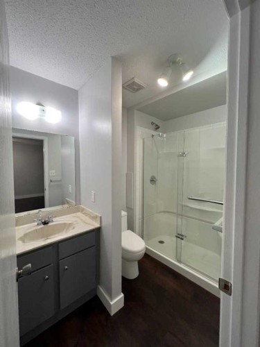 197 Oxford Road West, Lethbridge, AB - Indoor Photo Showing Bathroom