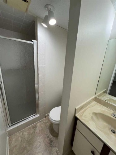 197 Oxford Road West, Lethbridge, AB - Indoor Photo Showing Bathroom