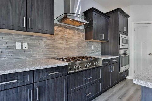522 Moonlight Lane West, Lethbridge, AB - Indoor Photo Showing Kitchen With Upgraded Kitchen