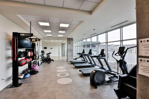 217-102 Scenic Drive North, Lethbridge, AB - Indoor Photo Showing Gym Room