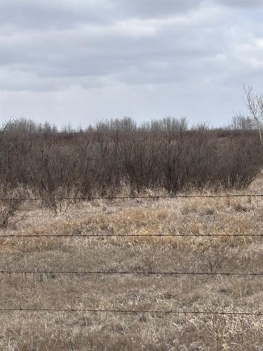 On Twp Rd 322, Consort, AB 