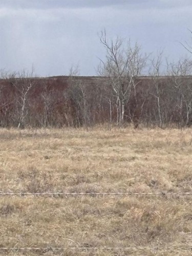 On Twp Rd 322, Consort, AB 