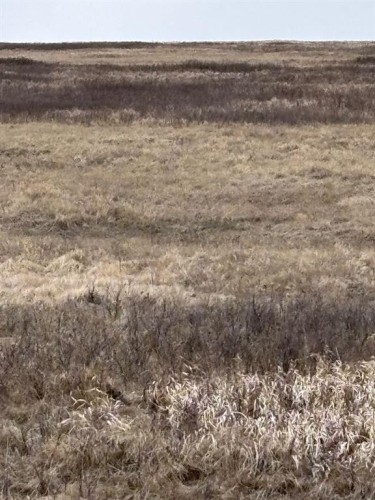 On Twp Rd 322, Consort, AB 