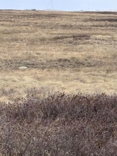 On Twp Rd 322, Consort, AB 