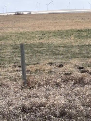 On Twp Rd 322, Consort, AB 