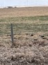 On Twp Rd 322, Consort, AB 