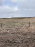 On Twp Rd 322, Consort, AB 